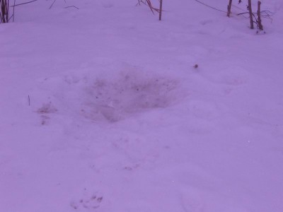 вот здесь она и лежала