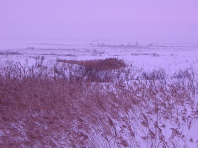 Resize of 999_1гадюкино вдали.jpg