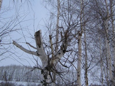 Resize of каен1.jpg