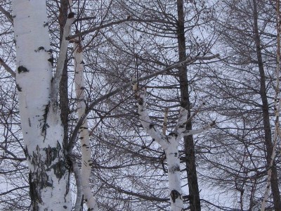 Resize of каен2.jpg