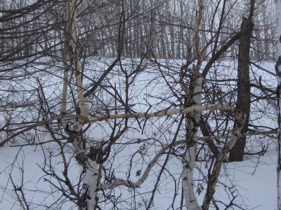 Resize of каен4.jpg