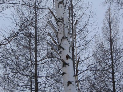 Resize of каен6.jpg