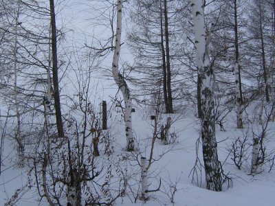 Resize of каен7.jpg