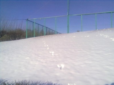 21012012686.jpg