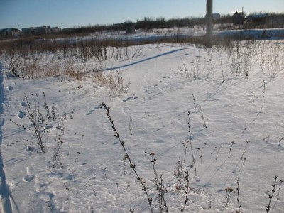 IMG_5064.jpg