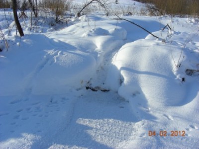 DSCN5476.JPG
