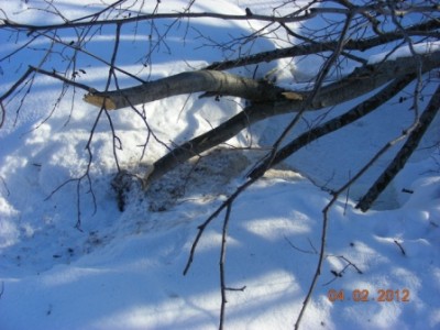 DSCN5478.JPG
