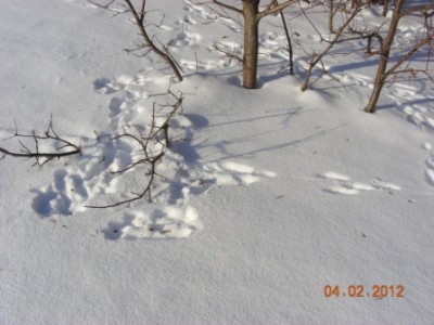 DSCN5479.JPG