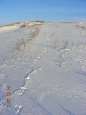DSCN5483.JPG