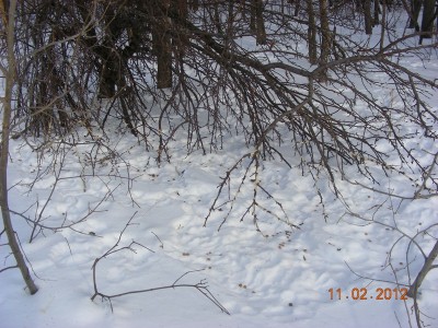 DSCN5508.JPG