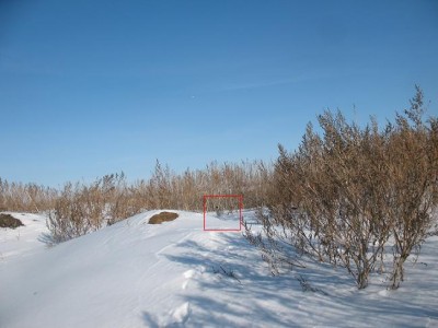 Поднялся он недалеко,но я запутался в кнопках и приемливый кадр не получился,да и про зум забыл.В общем,спародировал известного плясуна...