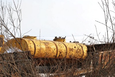 Воробушки болеют за спортсменов.