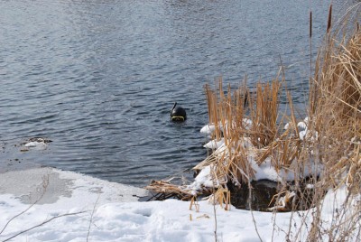 DSC_2763.jpg