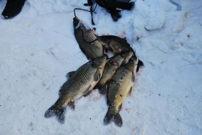 DSC_2828.jpg