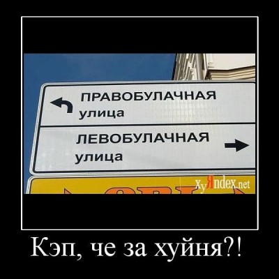 Levaya.jpg