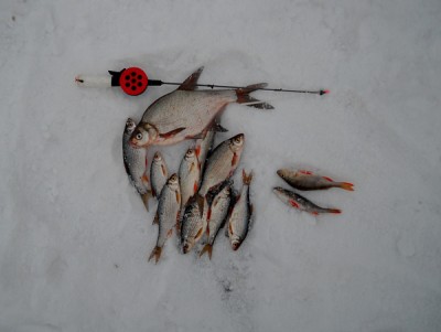 DSCN2012-1.jpg