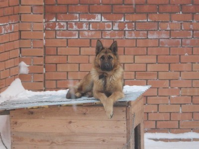 Царь горы