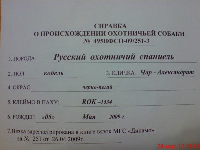 Фото к первому сообщению.