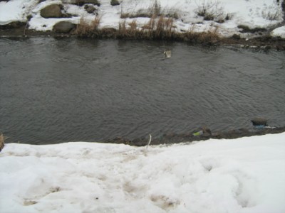 IMG_3694.JPG