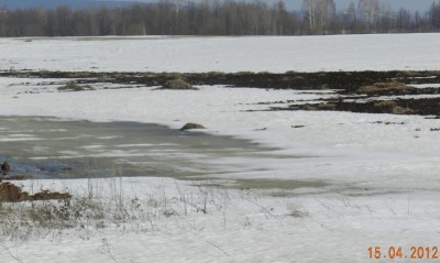 DSCN0542.JPG