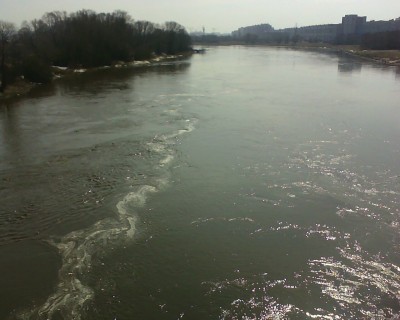 IMG1270A.jpg
