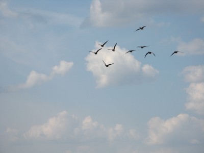 IMG_4318.JPG
