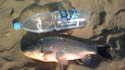 13052012715.jpg