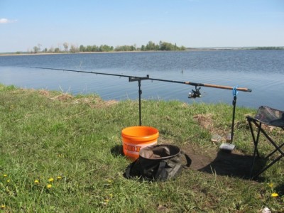 из воды виднеются верхушки кустов